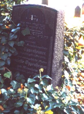 Der Grabstein von Hermann Oppenheimer auf dem jdischen Friedhof in Hameln